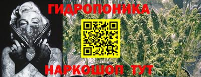 apvp Заводоуковск