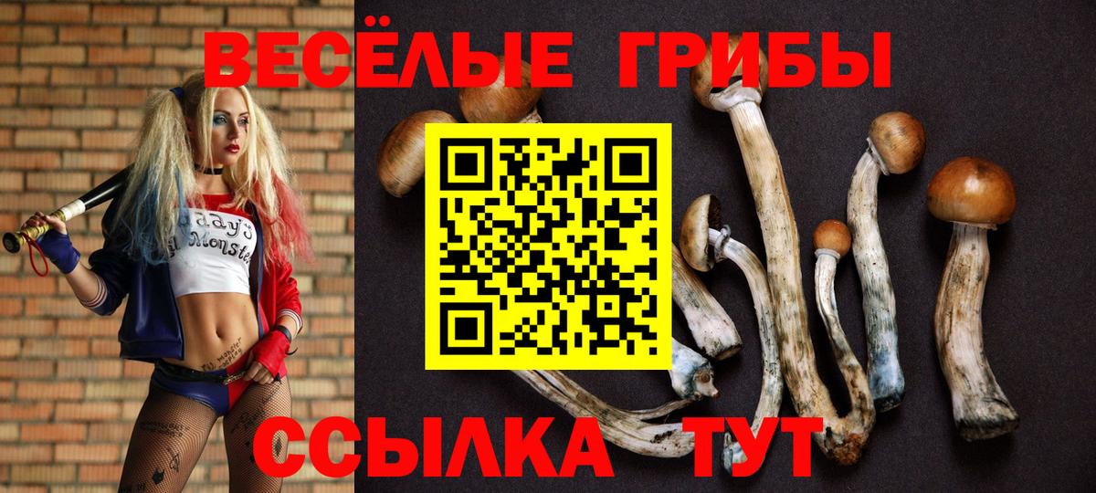 Галлюциногенные грибы ЛСД  Вход с VPN  где купить наркоту  Магнитогорск  Псилоцибиновые грибы Magic Shrooms 